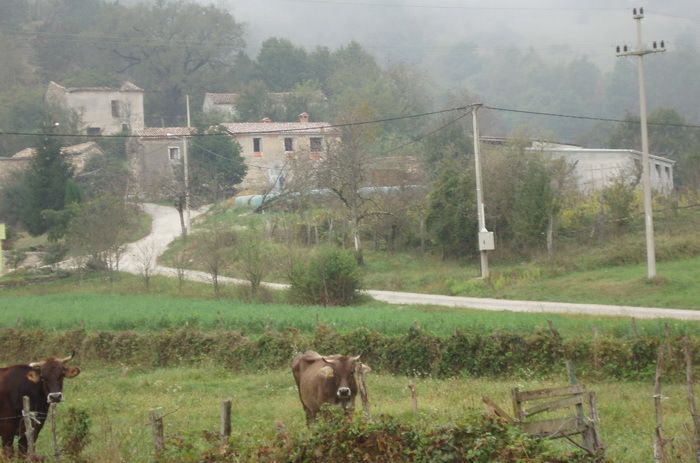 Žugčići