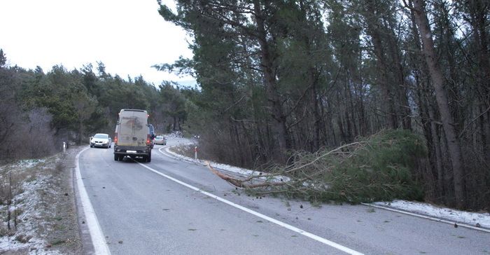 I iduća dva dana jako hladno: Orkanski vjetar ruši stabla