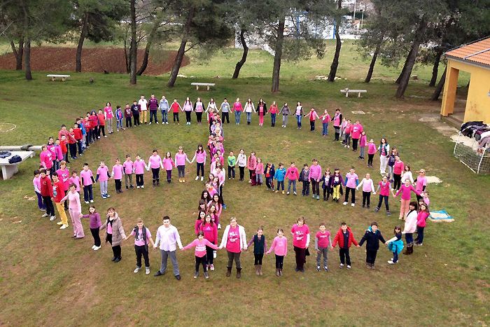 Dan ružičastih majica, poznatiji kao Pink Shirt Day obilježava se zadnje srijede u mjesecu veljači