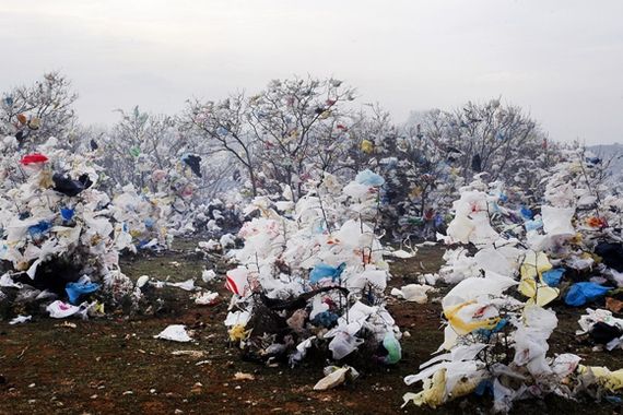 Plastične vrećice ukrasile prirodu nedaleko Kaštijuna