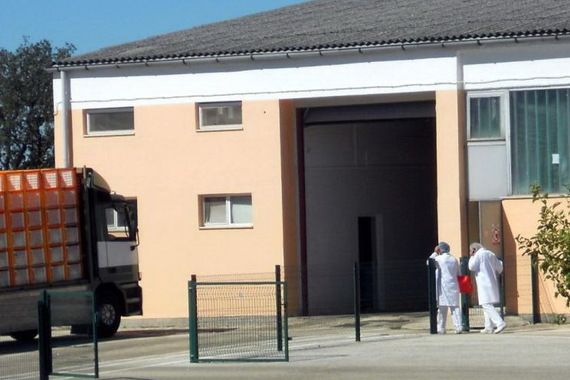 U bivšem Purisovom pogonu radnike prisiljavaju na poligraf