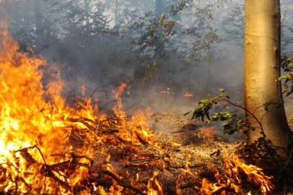 Paljenjem raslinja u Šušnjićima uzrokovao štetu od više stotina kuna