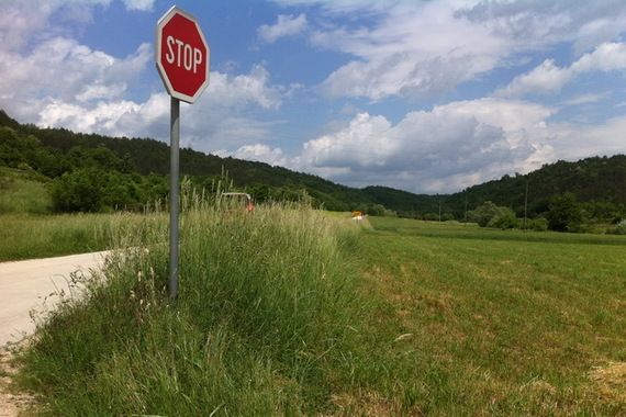 Zbog nemara komunalnog poduzeća Pazinjani sami kose travu uz ceste 
