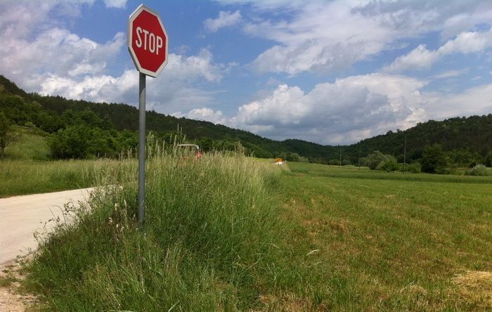 Nezavisni Pazin: Prometuje se otežano zbog trave u većem dijelu cesta. Upozoravamo vozače da je moguć nalet na veći broj pješaka, šetača, starije i dječje dobi, posebice na mostovima i u zavojima