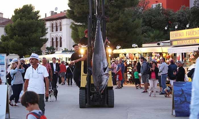 Na gradskoj rivi u Poreču službeno je otvoren Offshore World Challenge – Poreč 2015