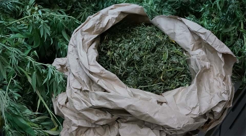 Droga zaplijenjena u Pazinu