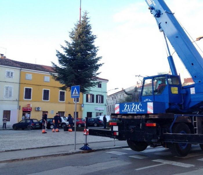 Postavljanje jelke na Trg Joakima Rakovca