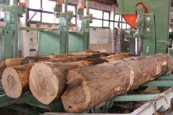 Je li Općina Tinjan uništila dobar poslovni projekt?