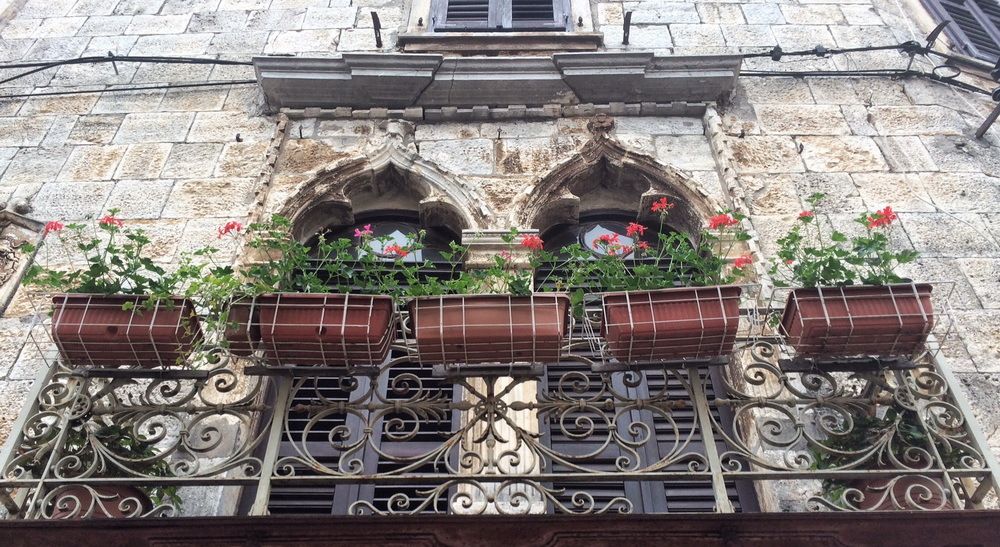 Ukupno 400 žardinijera sa sadnicama crvene pelargonije (điranima) podijeljeno je vlasnicima i stanarima na ukupno 150 adresa