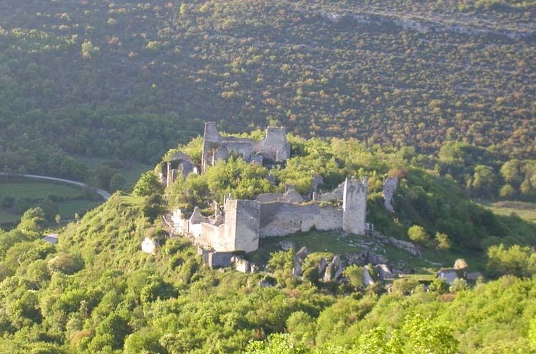 Zidine napuštenog Dvigrada (Foto: Općina Kanfanar, Udruga Dvegrajci)