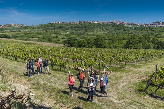 Istria Wine & Walk: Šesto vinopija šetalo i pilo 