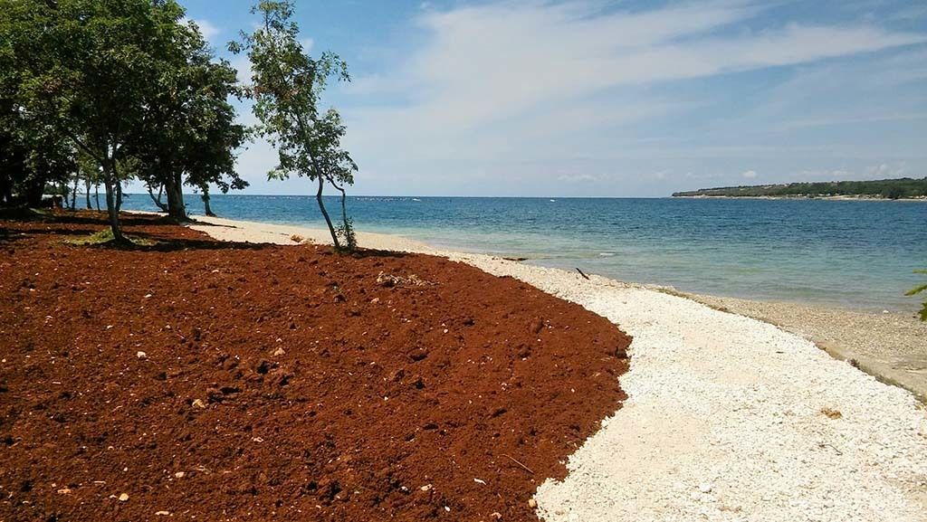 Gradska plaža u Červar Portu