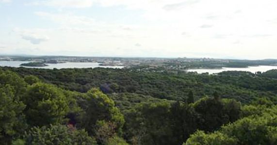 Za Muzil zainteresirani Forbes Real Estate i Boygues Batiment International