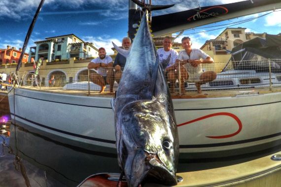 U Tršćanskom zaljevu ulovljena tuna od 130 kilograma