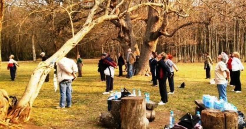 U sklopu obilježavanja Dana Grada Pule bogat program u Šijanskoj šumi