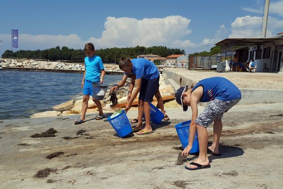 Sportaši svih uzrasta čistili podmorje i obalni pojas na Peškeri