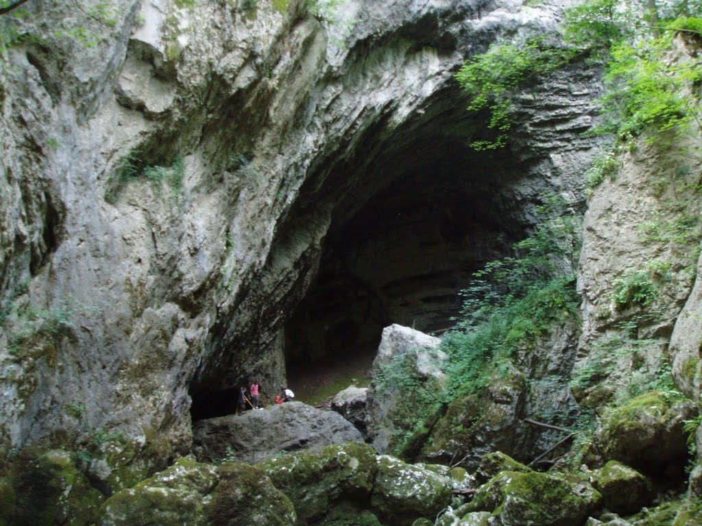 Pazinska jama