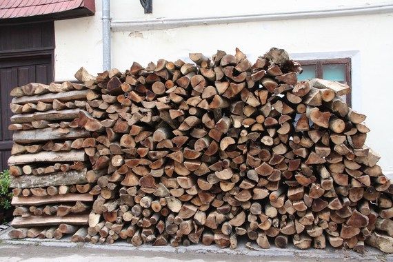 Osumnjičeni za krađu drva između Ungarije i Špinela
