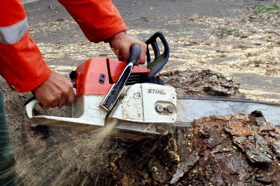 Kazneno prijavljeni za krađu motorne pile u Žbandaju