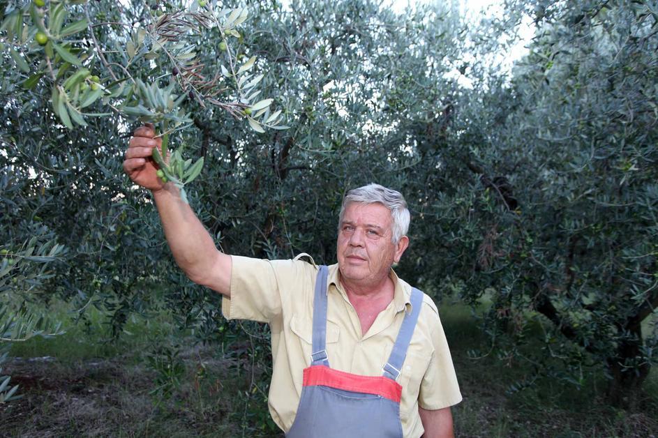 Eđidio Labinac (foto: 24sata)