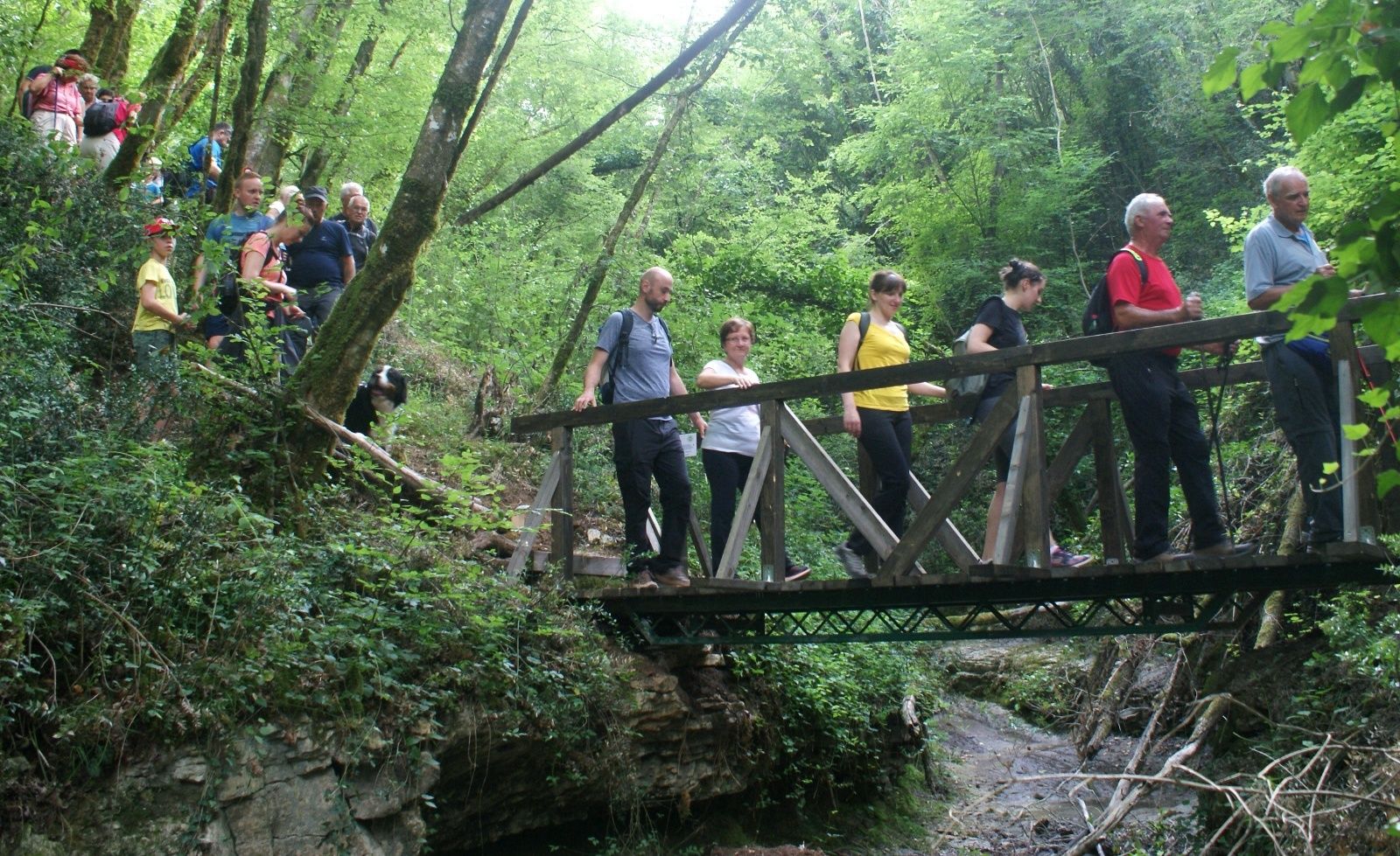 Planinari šetnjom obilježili dovršetak projekta kojeg je provodilo Planinarsko društvo "Pazinka"