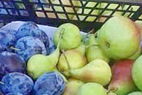 U nedjelju se nastavlja Kaldirski plac od fruti