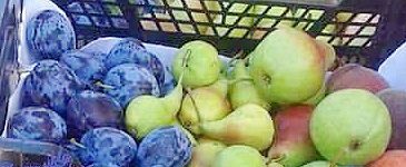 Ponuda na "Kaldirskom placu od fruti"