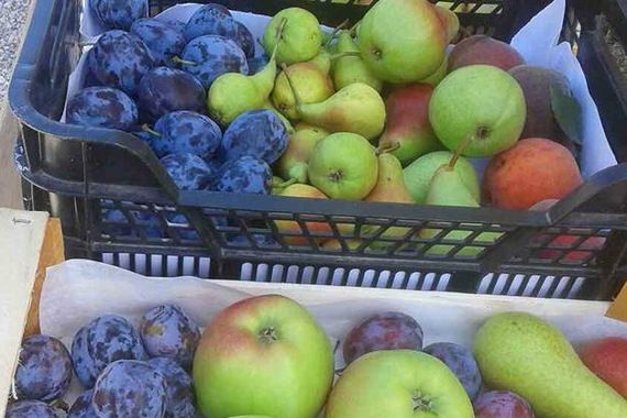 Dođite u nedjelju na Kaldirski plac od fruti