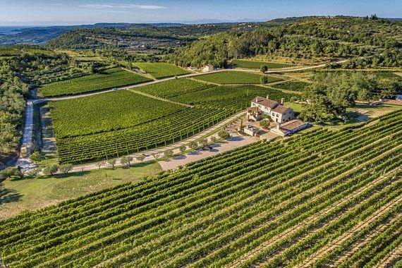 Vinarija Kabola u užem izboru za Luxury Lifestyle Awards 2018. 