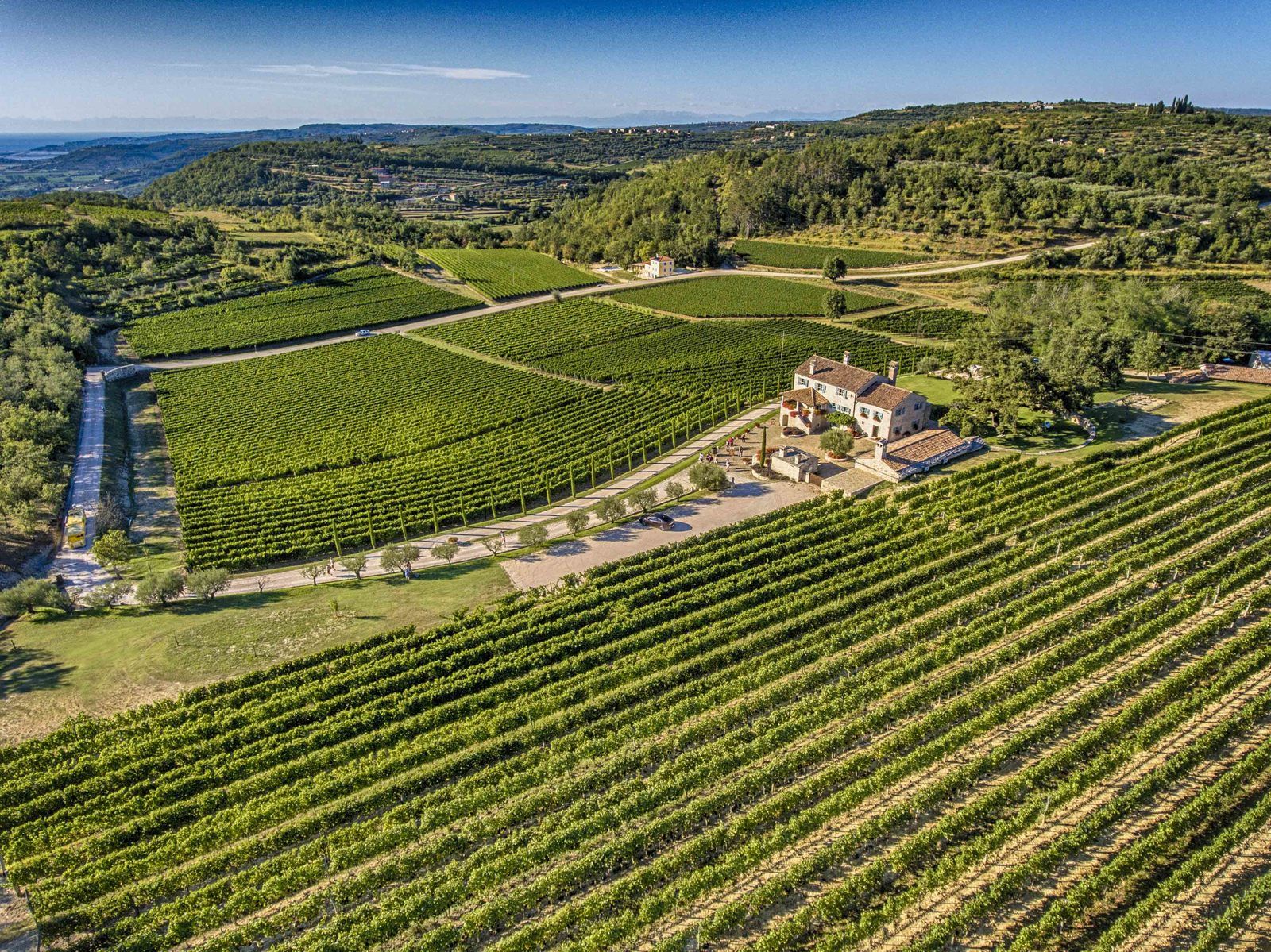 Vinarija Kabola