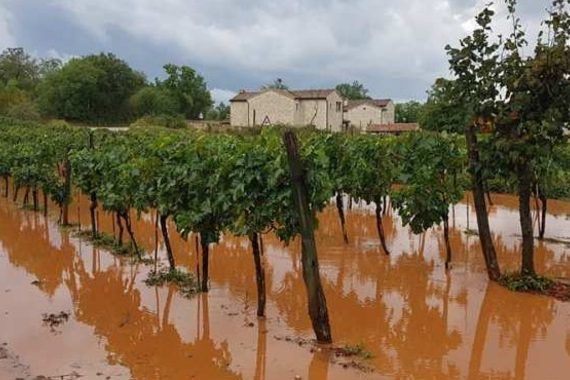 Ekstremna kiša u središnjim dijelovima Istre