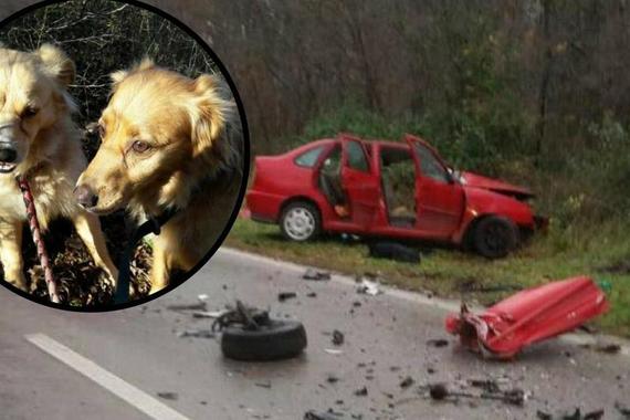 Vlasnik im poginuo: Gricko u depresiji, sestricu još traže...