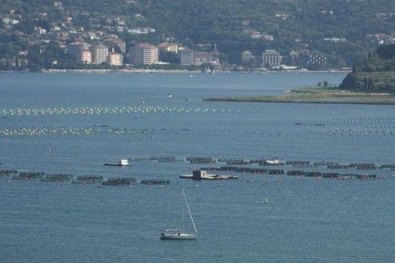 'Hrvatskoj arbitražom na moru ništa nije oduzeto'