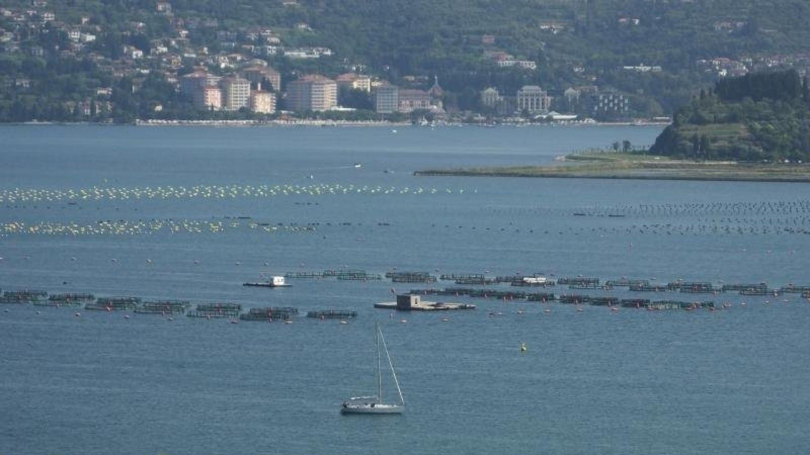 Piranski zaljev