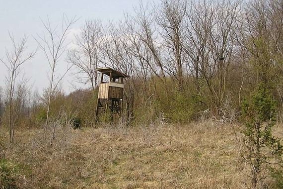 Talijanke propale kroz trulu čeku kod Oprtlja