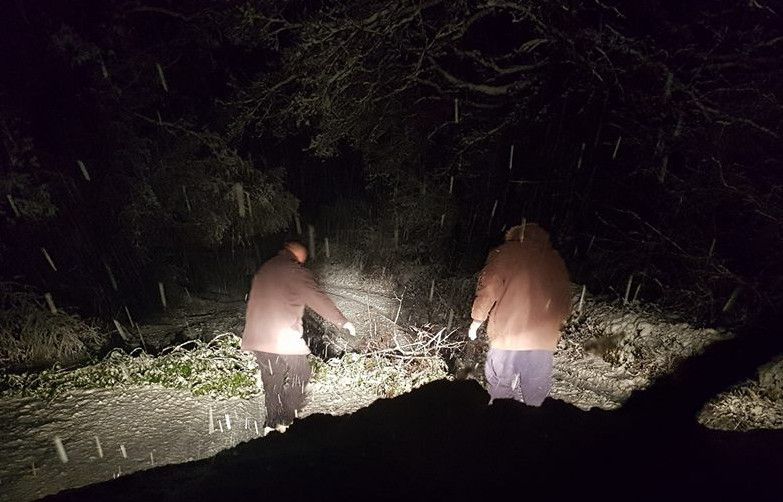 Uklanjanje stabla s ceste kraj Tinjana (foto: Facebook/Istramet)