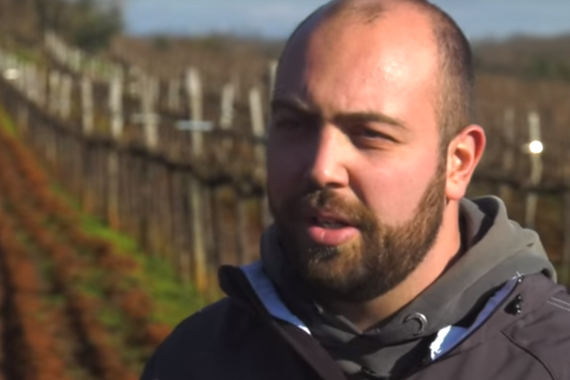 Evo kako to radi vinar Saša Bernobić iz Vižinade (video)