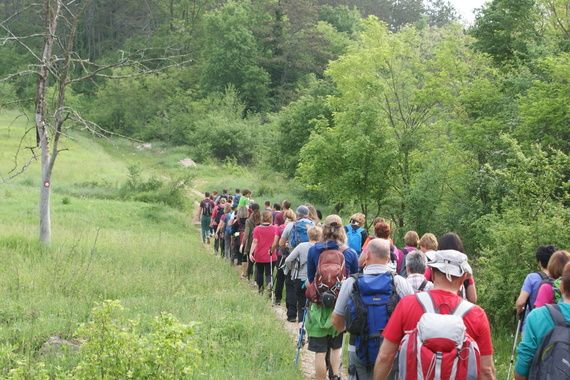 Evo kako je bilo na Međunarodnom danu pješačenja u Pazinu i Grdoselu