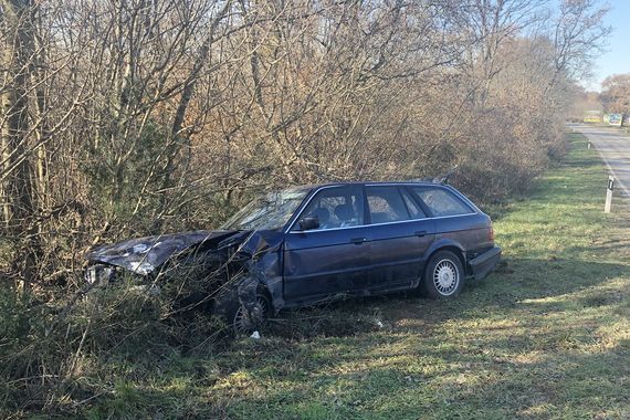 Talijan BMW-om pulske registracije otklizio u stablo