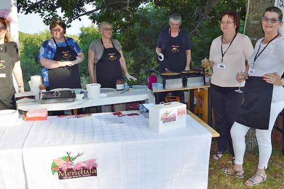 Mendula organizira humanitarnu akciju za malog Stefana iz Gračišća