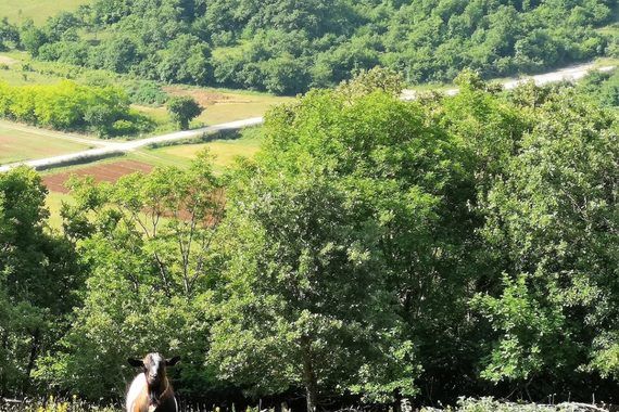 Sveti Petar je drukčiji: 'Tu sam provela prve godine staža'