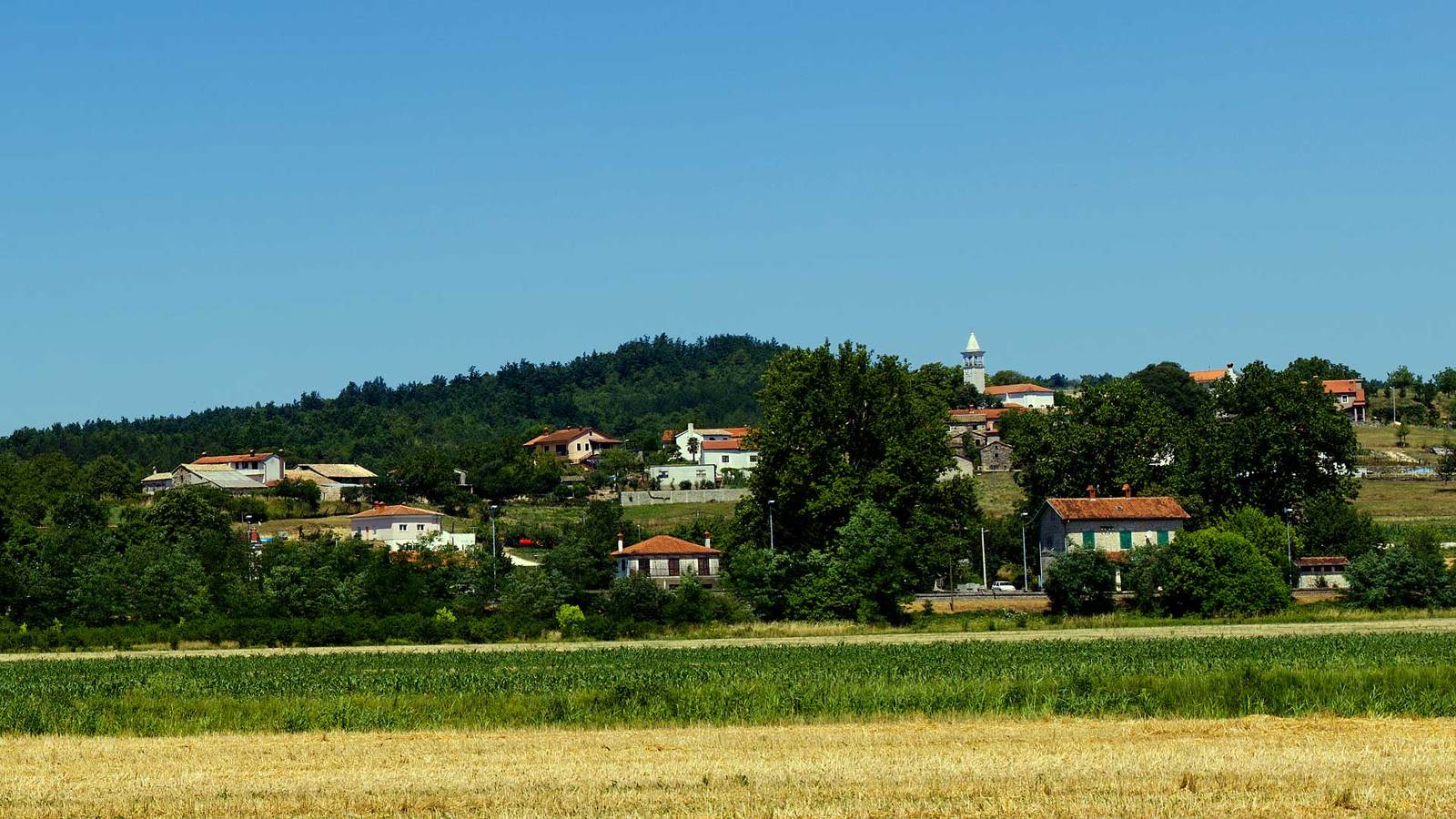 Cerovlje