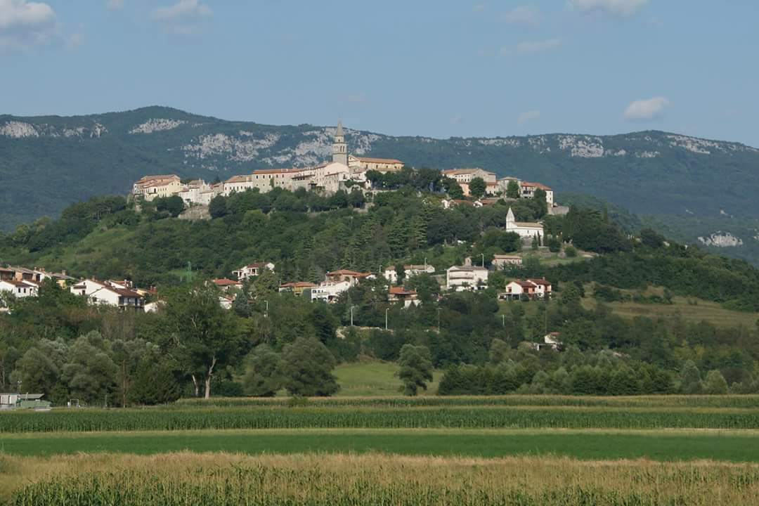 Foto: Facebook SDP Buzet