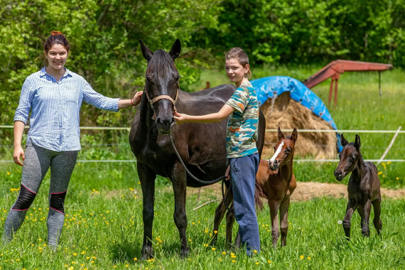 Senzacija u Rimu kod Roča: kobila oždrebila blizankinje 
