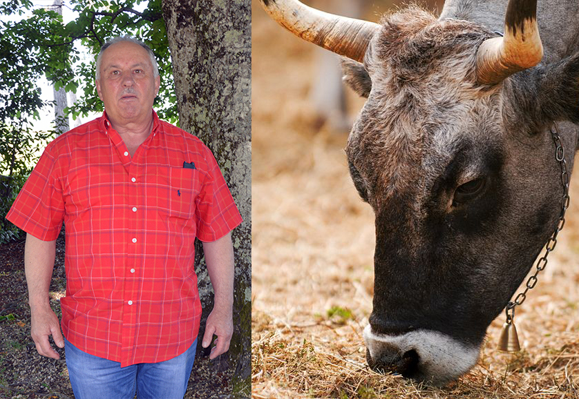 Aldo Štifanić i Boškarin