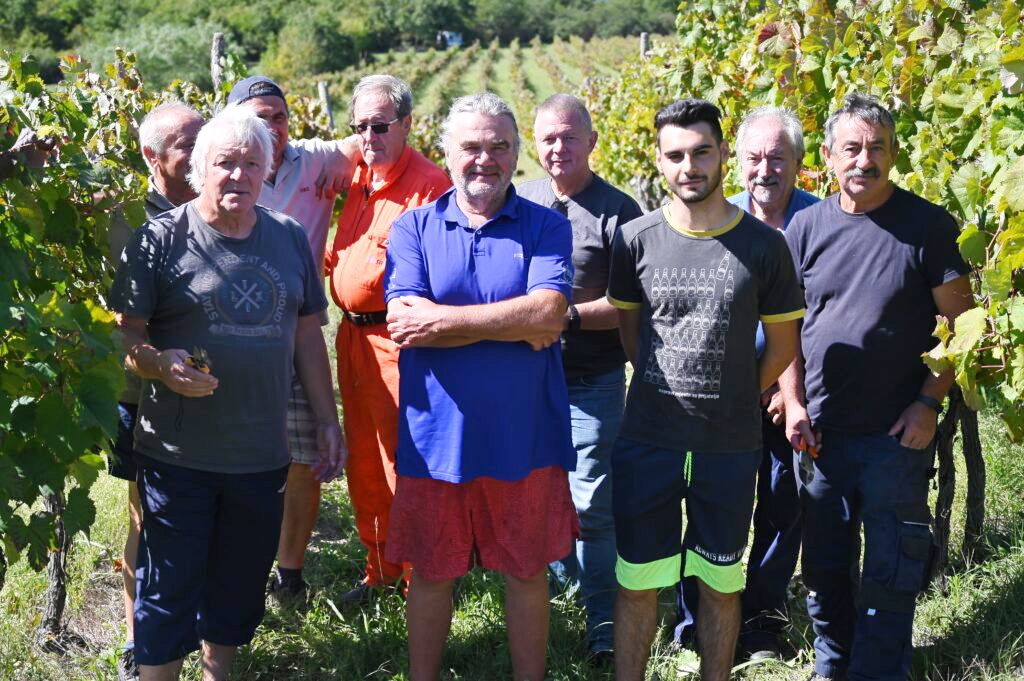 S Jakovčićem u berbi (foto: Novi list)