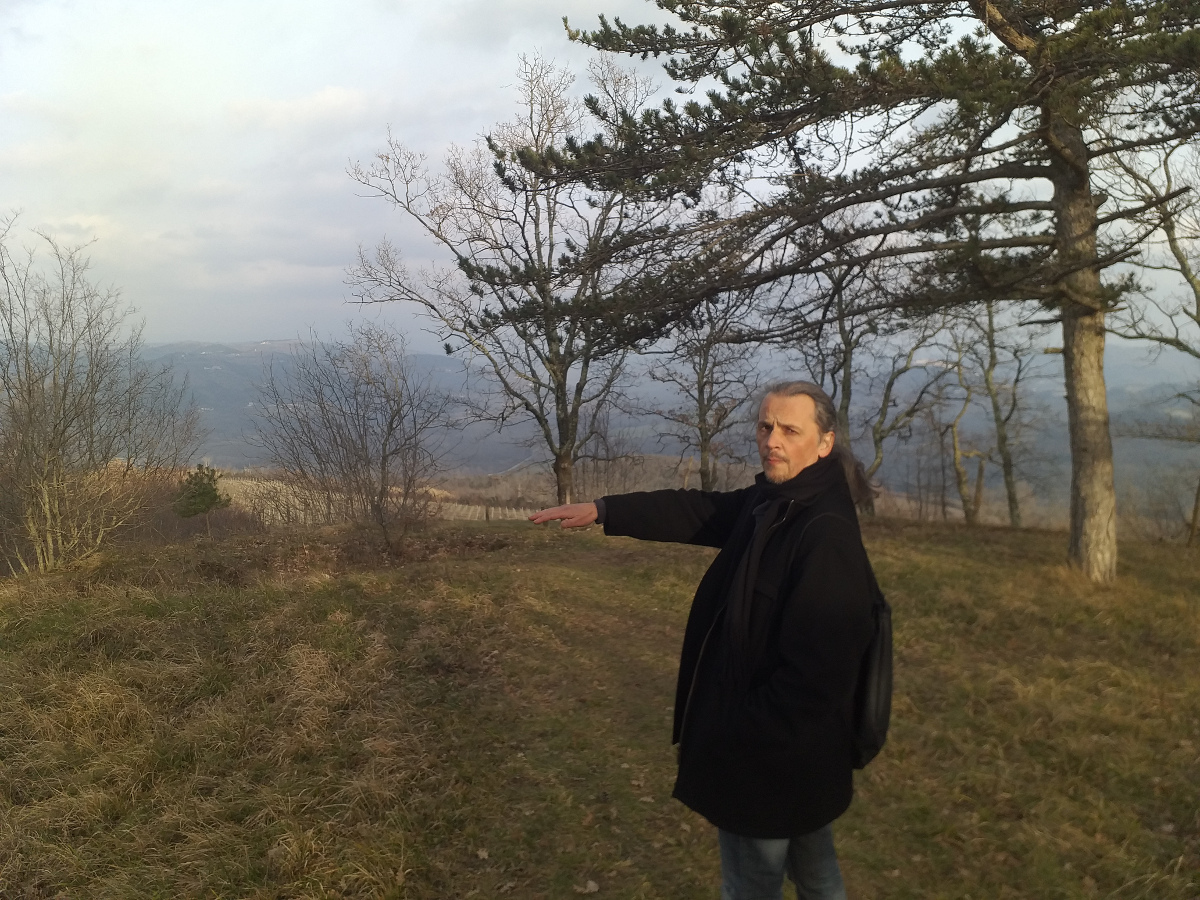 Damir Stojnić