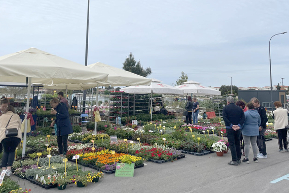 Završila Umag Floria: prekrasan umaški vikend pun cvijeća 