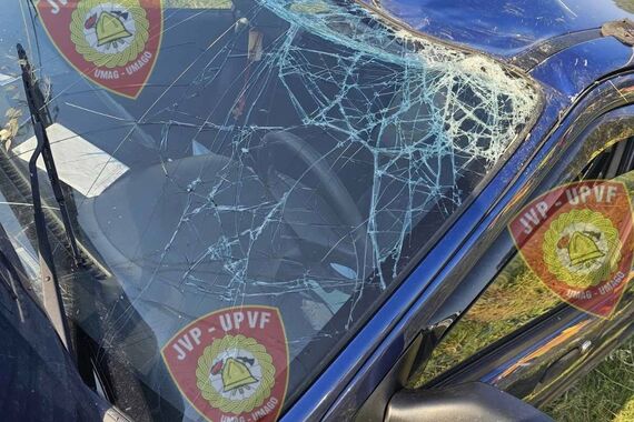 Kod Brtonigle auto izletio s ceste, intervenirali vatrogasci (foto)