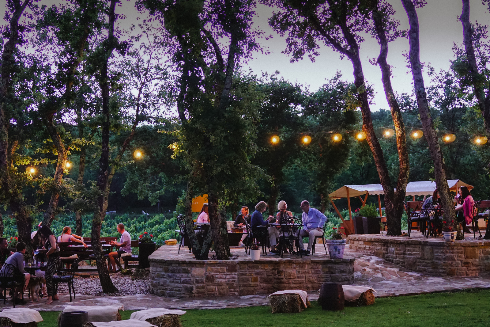 Tenuta Tre Terre